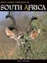 South Africa Safari Companion (Safari Companions)