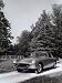 Frontal View of a Ferrari-Pininfarina Automobile Parked on a Street in a Park Photogr...