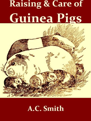 The Raising and Care of Guinea Pigs: A Complete 