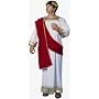 Caesar Adult Costume