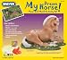 Toys : Breyer Horses: My Dream Horse Pour and Mold Activity Kit