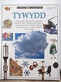 Tywydd