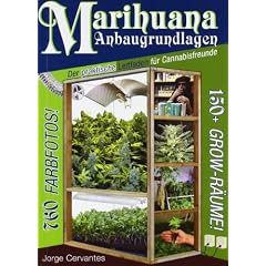Marihuana Anbaugrundlagen