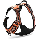 Chai's Choice Pet Products 17"-22" Best Front Range No-Pull Dog Harness, Small, Orange