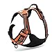 Chai's Choice Best Outdoor Adventure Dog Harness (Small, Orange)