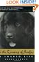 In the Company of Newfies: A Shared Life