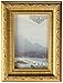 Imperial Frames 4 by 6-Inch/6 by 4-Inch Picture/Photo Frame, Dark Gold with Floral Design