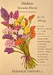 Statice Sinuata Blend Heirloom Flower Seed