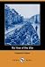 Book My Year of the War (Dodo Press)
