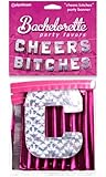 Bachelorette Party Favors "Cheers Bitches" Party Banner