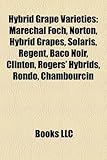 Hybrid Grape Varieties: Marechal Foch, Norton, Hybrid Grapes, Solaris, Regent, Baco Noir, Clinton, Rogers' Hybrids, Rondo, Chambourcin-