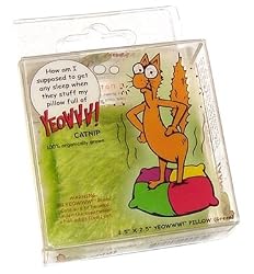 Ducky World Yeowww! Brand 100% Organic Catnip Pillow Cat Toy - Green