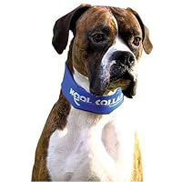 Kool Collar - Small in Blue (Includes one replacement tube)