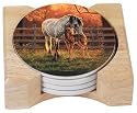 CounterArt Quiet Time Design Round Absorbent Coasters in Wooden Holder, Set of 4