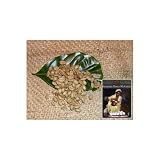 ���ӥ��˥���⥫ 9�������꡼����Ʀ��200g�ˡָ���20%�����桪��-Ʀ�Τޤ�-�濼����ʥ�������No.5)