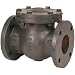 NIBCO NHE300E Cast Iron Irrigation Check Valve, Horizontal Swing, Class 125, Bronze Seat, 2-1/2" Flanged