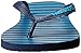 Havaianas Men's Top Stripes Logo Sandal