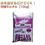 早強モルタル 10kg マツモト産業 ワークセレクトシリーズ