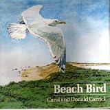 BeachBird
