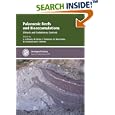 Palaeozoic Reefs and Bioaccumulations : Special Publication no 275 (Geological Society Special Publication) by  J. Javier Alvaro, Markus Aretz, Frederic Boulvain, and Axel Munnecke
