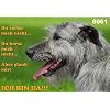 Metall - Warnschild Irish Wolfhound