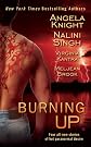 Burning Up (Berkley Sensation)