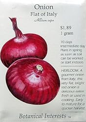 Onion Flat of Italy Heirloom Seeds 200 Seeds