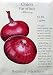 Onion Flat of Italy Heirloom Seeds 200 Seeds