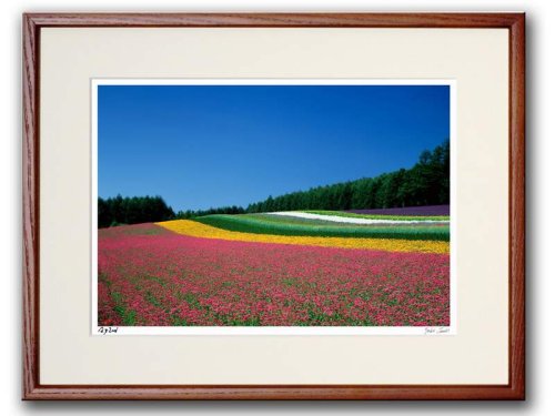 《オリジナルプリント》花畑（ファーム富田）（北海道/中富良野町）