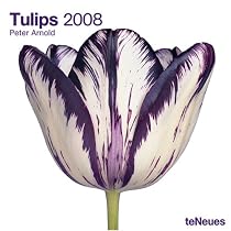 Tulips 2008 Calendar