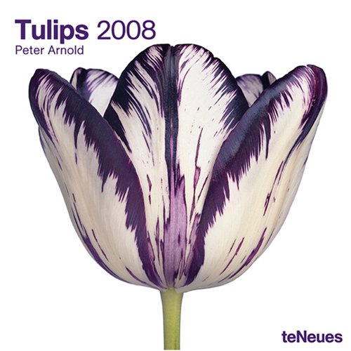 Tulips 2008 Calendar