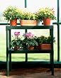 2 Tier Staging Benches - Pack of 2