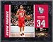 Devin Harris New Jersey Nets 8x10 Color Plaque