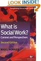 What is Social Work?: Context and Perspectives (Transforming Social Work Practice)