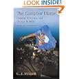 The Camphor Flame: Popular Hinduism and Society in India by C. J. Fuller