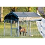 4x8' Dog Kennel Green