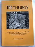 Trethurgy : excavations at Trethurgy Round, St Austell ; community and status in Roman and post-Roman Cornwall