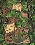 Buy : The Valley of Secrets