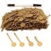 1000 Gold Button Sale Tags Jewelry Price Display 2 3/8 x 5/8