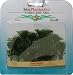Tetra  606401 Tetra Plantastics Foregrounds Green Cabomba 10 cm – Aquarien-Dekorationspflanze