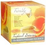 Silkenty Silken Pyramid Sachet Cube, Tropical Dreams, 10-Count Tea Bag Cubes (Pack of 3)