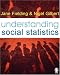 Understanding Social Statistics