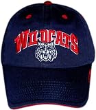 Arizona Wildcats Fratboy Hat