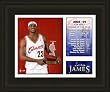 Cleveland Cavaliers Framed LeBron James Rookie of the Year Milestones and Memories NBA Basketball