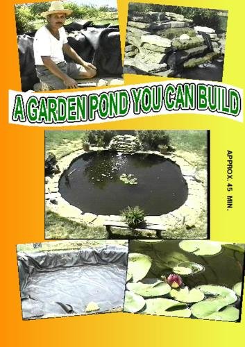 how to build a koi pond