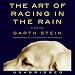 The Art of Racing in the Rain (Unabridged)