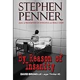 by reason of insanity david brunelle legal thriller 3