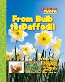 Cover for 9780531185346