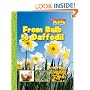 From Bulb to Daffodil (Scholastic News Nonfiction Readers)