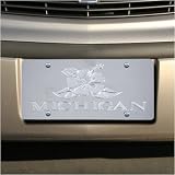 Michigan Wolverines Hibiscus Mirror License Plate